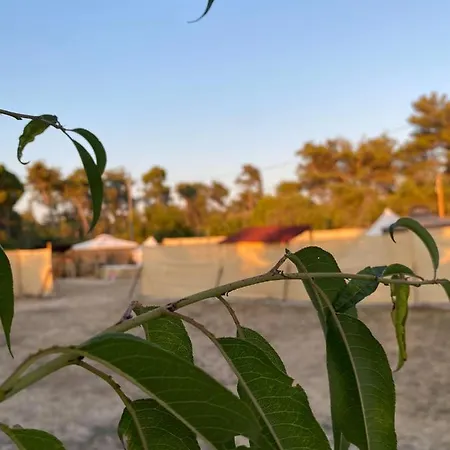 Luxury tent Estera Tent Zadar